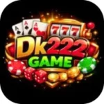 DK222 Game