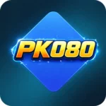 PK080 Game