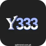 Y333 Game